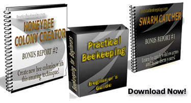 Practical Beekeeping ebook